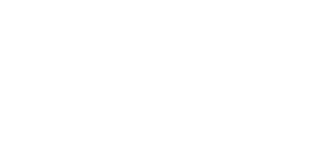 Logo di FTS